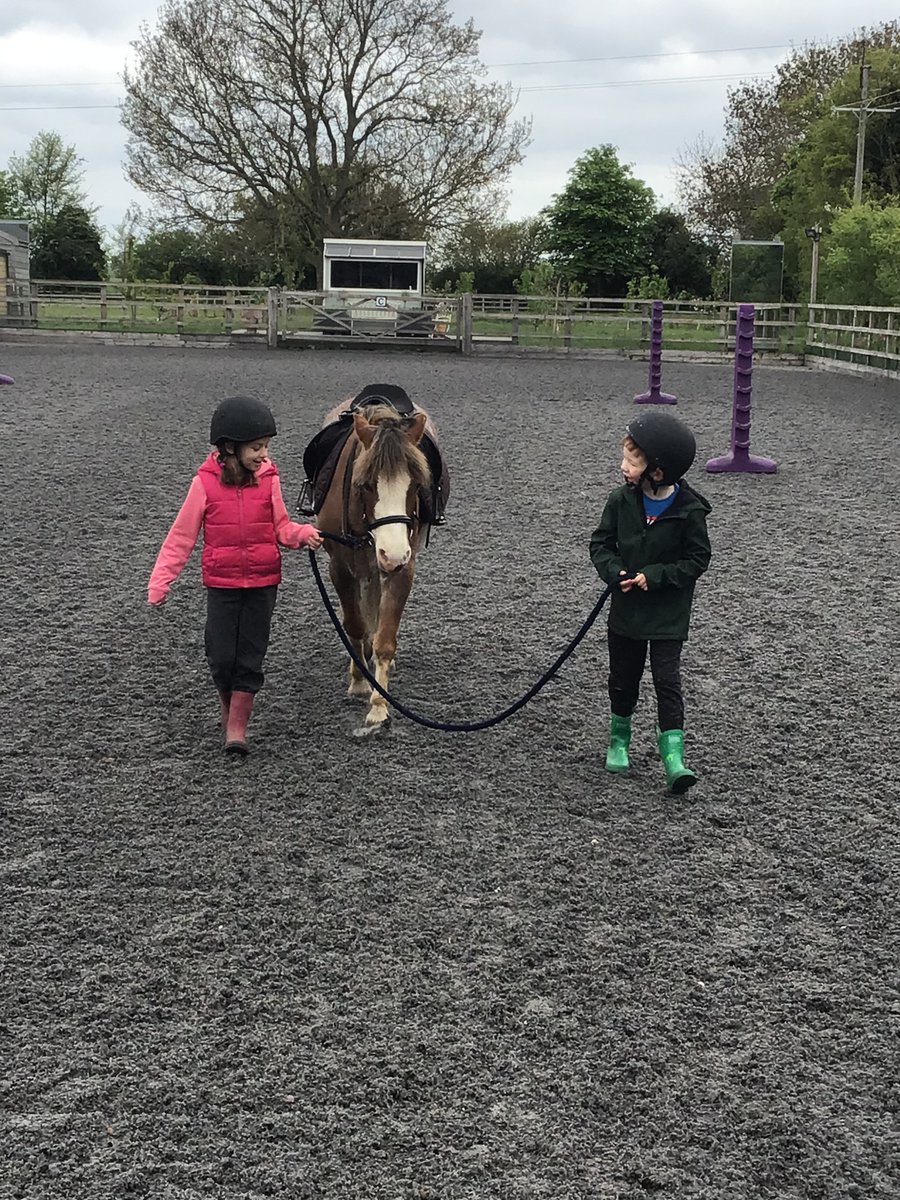 Elm Class @GreenRidgeR2 @reach2trust had an absolutely fantastic time @hartwellstables completing their @11BEFORE11 challenge to ride a big animal. @SKTeaching and I were so jealous we have booked our own lesson next week! #horses #11B411