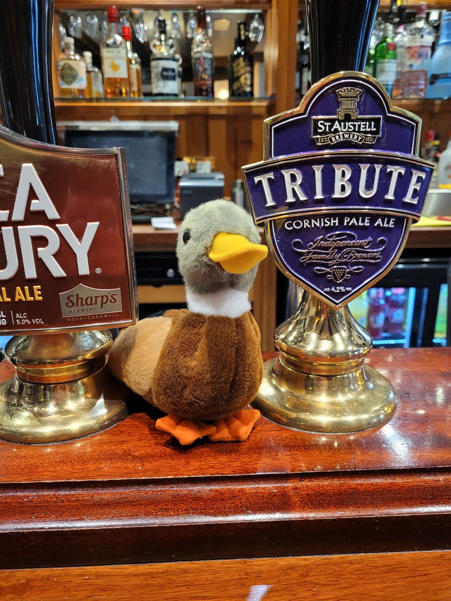 The Wellington Hotel tweet media