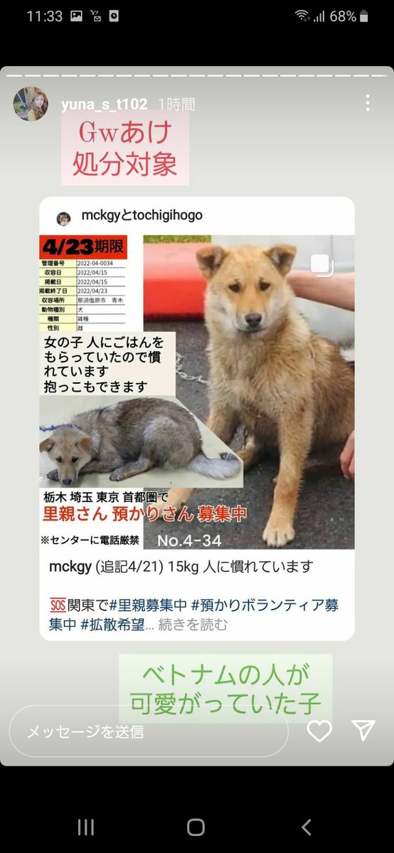 nekosnoopy's tweet photo. 栃木県動物愛護センター 保健所 収容犬 保護犬 緊急SOS！収容期限超過 延長が難しくなっていて、GW明け殺処分対象だそうです😣関東で里親募集！預かりボランティア募集！よろしくお願いします🙏
https://t.co/xopOh5fdMf https://t.co/MylavODHhO