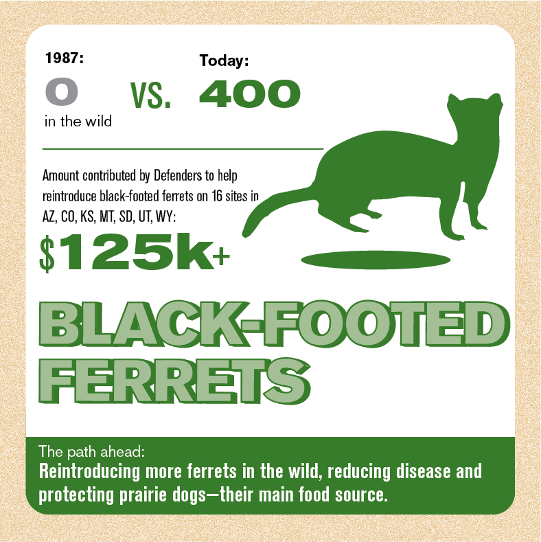 Defenders of Wildlife tweet media