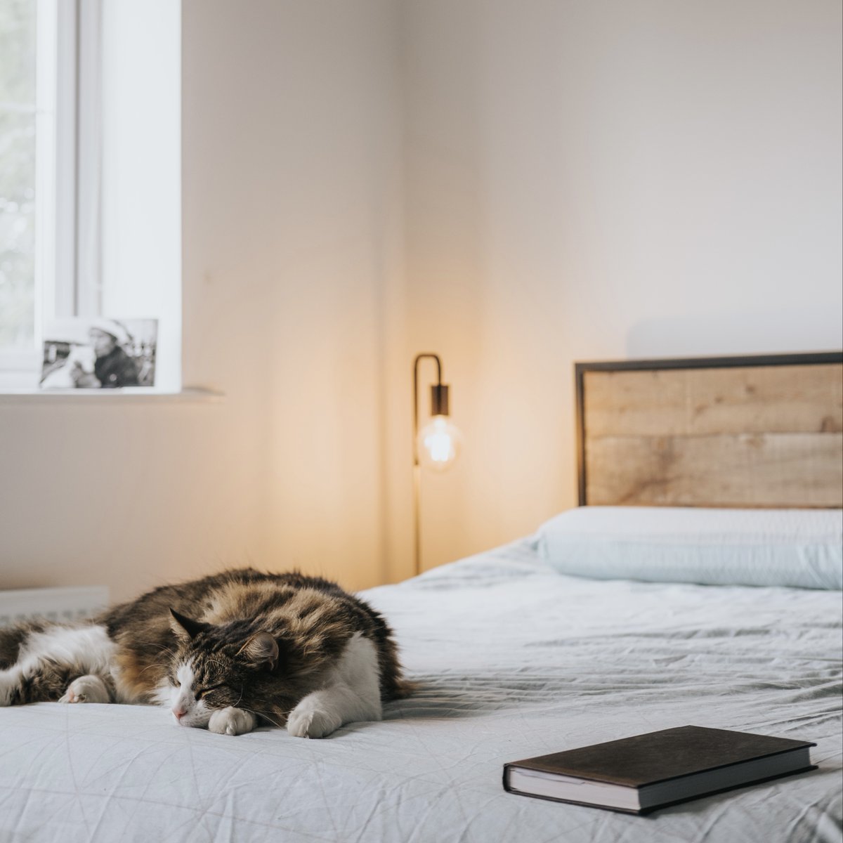 FitangoHealth's tweet image. Ironically the most hated time of day in kindergarten has become one of our favorite moments now. I’m talking about nap time of course! 

Naps have been proven to boost your productivity and mood during the day. Limit your naps to 30 minutes or less to wake up feeling refreshed!