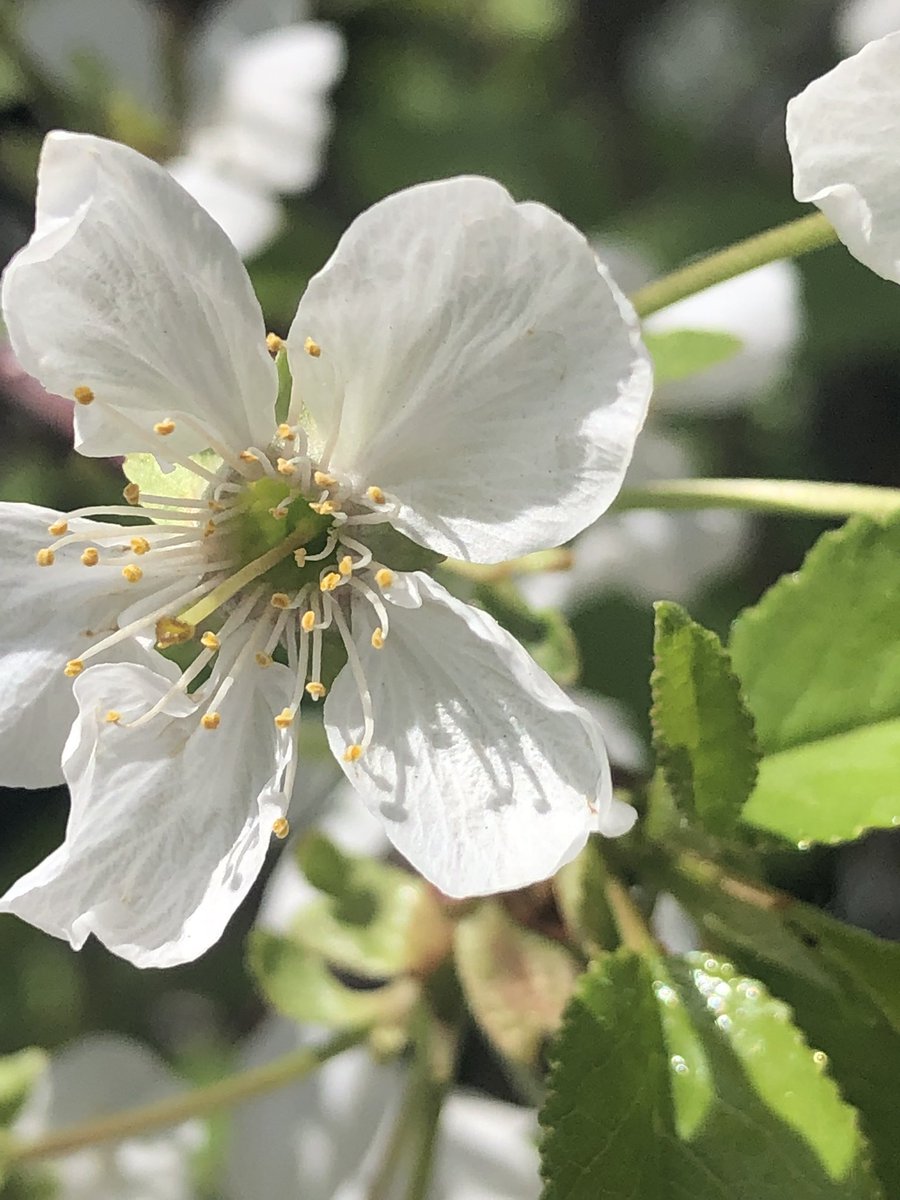 Ya rabbi şu mübarek gecenin yüzü süyü hürmetine bizleri affet.
Sen afedicisin, affetmeyi seversin bizi de affet Allahım.