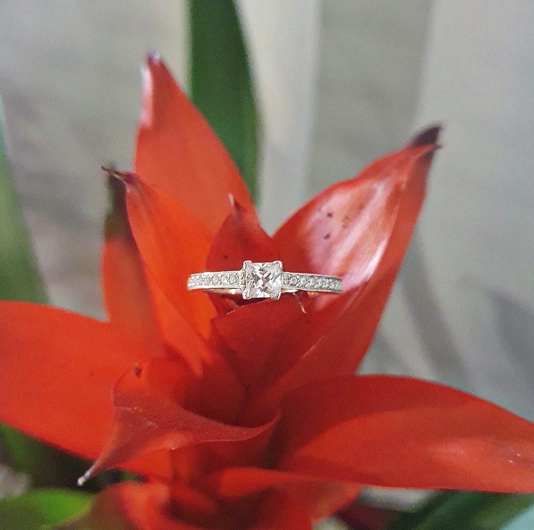 atelorbijoux's tweet photo. Misez sur le raffinement et l’élégance de cette bague Diana en argent pour sublimer vos journées 💍
Ce bijou délicat, est ornée d'une pierre centrale accompagnée sur le coté de plus petite 💎
#bijoux #Bijoux #Jewelry #handmadehour #handmade #Creative #artisanat #artist #atelor https://t.co/aerM9jITdv