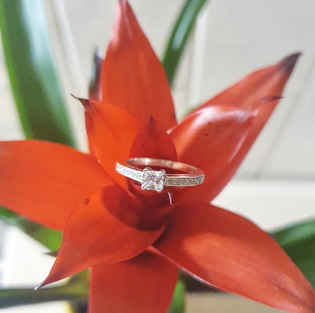 atelorbijoux's tweet photo. Misez sur le raffinement et l’élégance de cette bague Diana en argent pour sublimer vos journées 💍
Ce bijou délicat, est ornée d'une pierre centrale accompagnée sur le coté de plus petite 💎
#bijoux #Bijoux #Jewelry #handmadehour #handmade #Creative #artisanat #artist #atelor https://t.co/aerM9jITdv
