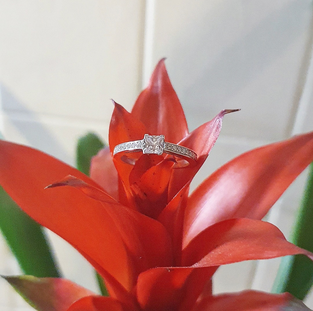 atelorbijoux's tweet photo. Misez sur le raffinement et l’élégance de cette bague Diana en argent pour sublimer vos journées 💍
Ce bijou délicat, est ornée d'une pierre centrale accompagnée sur le coté de plus petite 💎
#bijoux #Bijoux #Jewelry #handmadehour #handmade #Creative #artisanat #artist #atelor https://t.co/aerM9jITdv