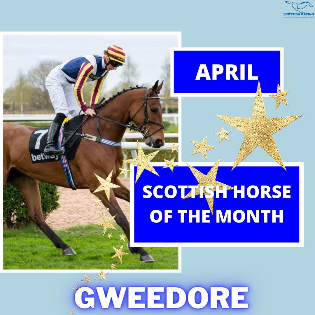 April Scottish horse of the month: Gweedore 🌟

Congratulations to @K_scottracing & team 🎉 Gweedore won his biggest race for Katie, a class 2  @MusselburghRace mid April🥇

A fantastic achievement for a small yard, very well deserved 👏🏻

 #scottishhorseofthemonth #scottishracing