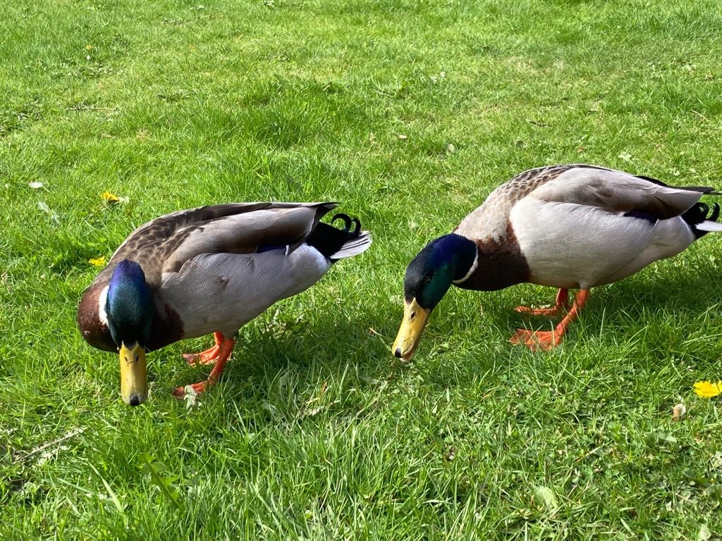 Spokes for Folks tweet media