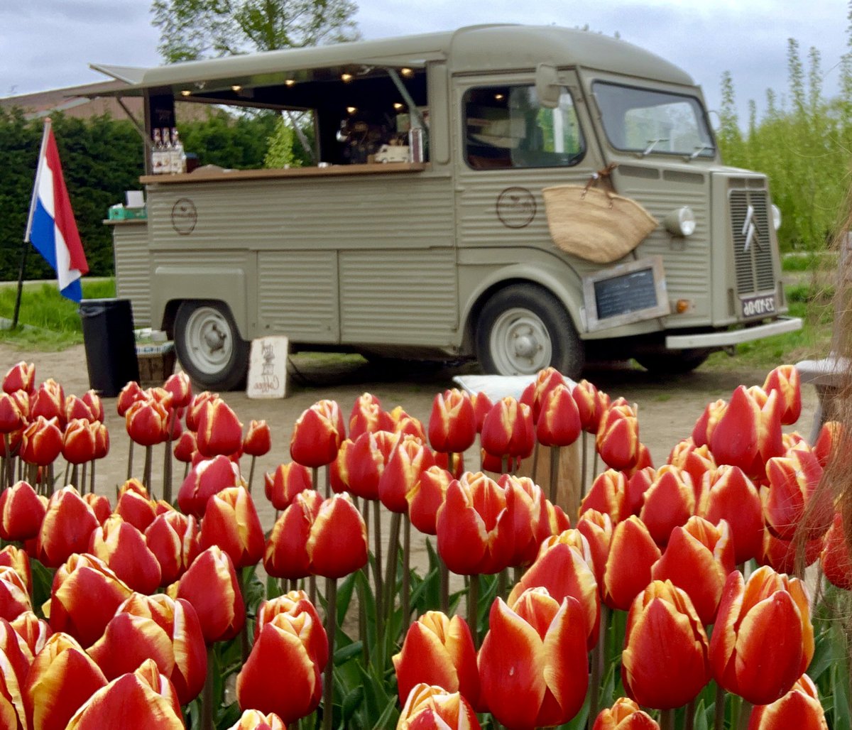 Fijne Koningsdag! ☕️🇳🇱
#noordoostpolder #koffiebus #omroepflevoland #koningsdag2022 #tulpen #koffieindetulpen #tulpenfestivalnoordoostpolder