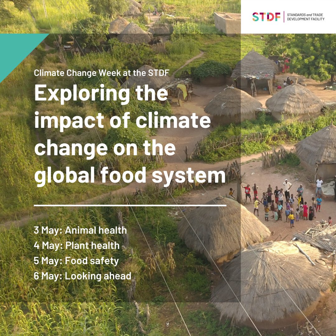SDTF climate change series