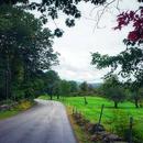 Cont_Interbeing's tweet image. Weeds are flowers, too, once you get to know them.
—Eeyore
#EncounterDiscoverCreateTransform Wednesday
Inspiration: zpr.io/6JiWumTSywne