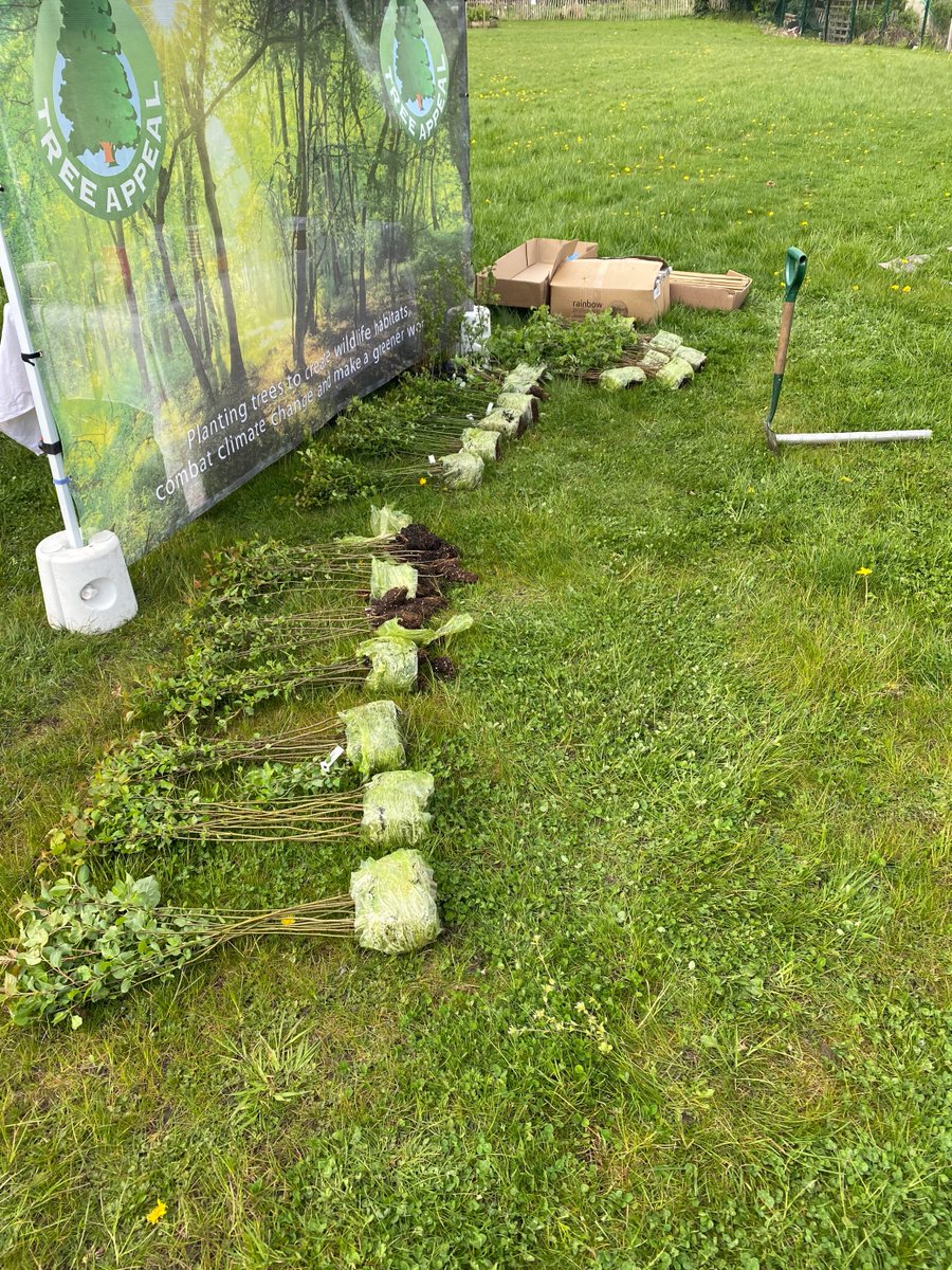 Banner_1's tweet photo. The sun came out for us yesterday at the tree planting ceremony organised by @Tree_Appeal and @eddingUK at Ryecroft Academy in Leeds. π³
Find out more about the Trees for Schools appeal, here https://t.co/HWyVdFnFNK
#treeplanting #sustainability #treeappeal https://t.co/29AbhZrDzH