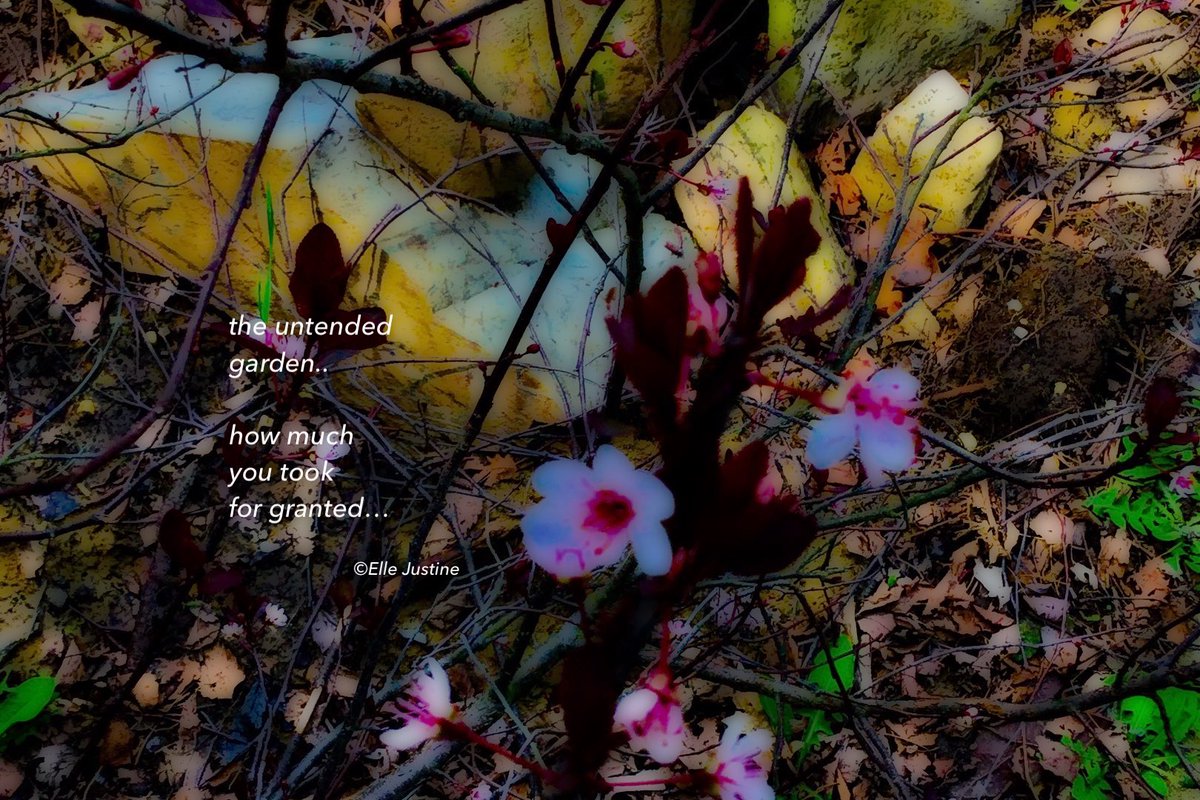 Elle Justine🥀 tweet media