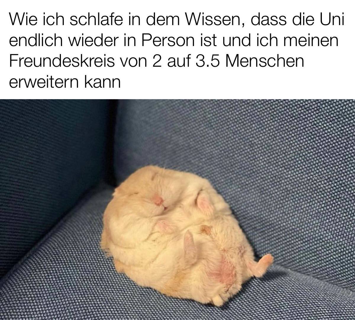 #mememittwoch