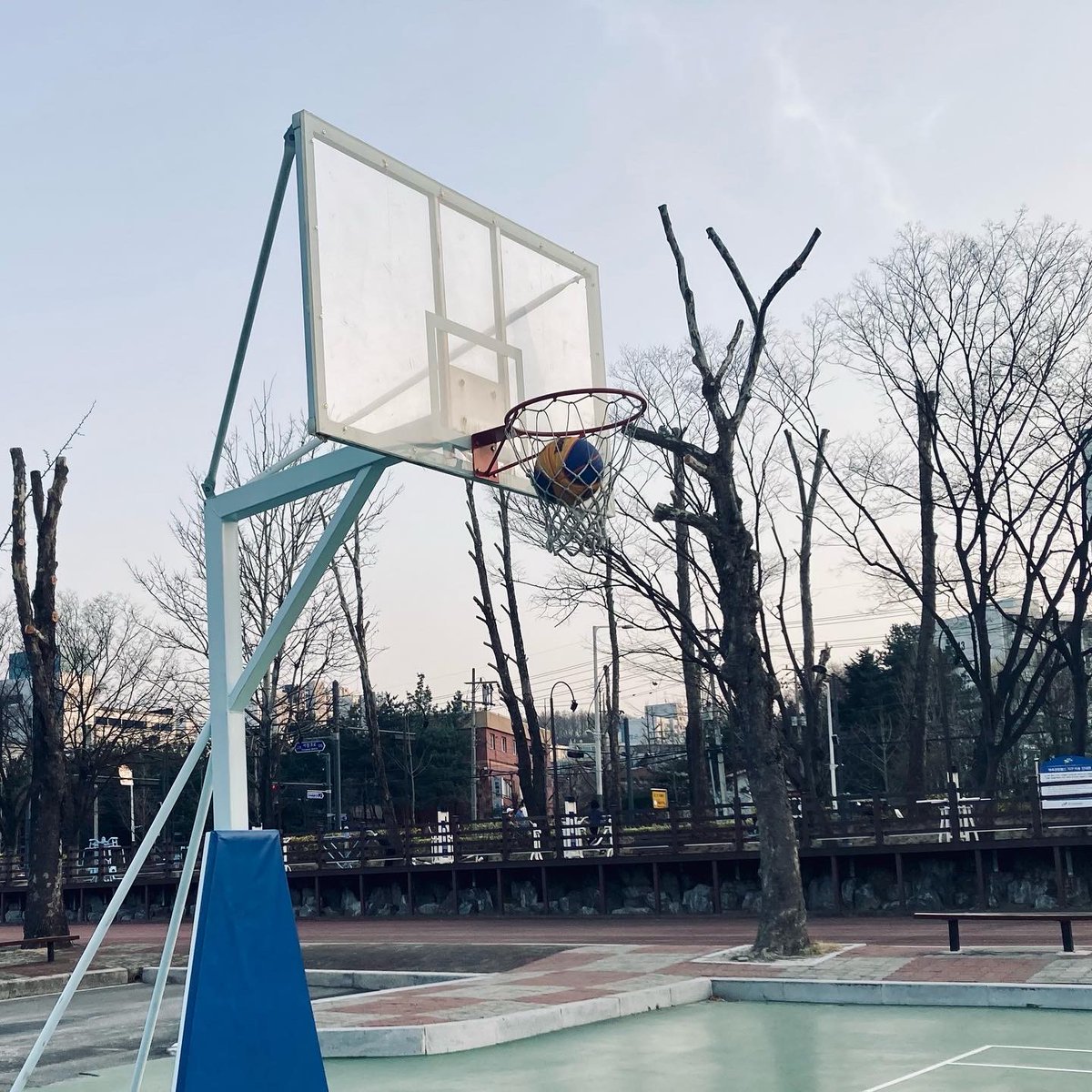 그리고 드디어 오늘 자유투 성공. 찰랑.