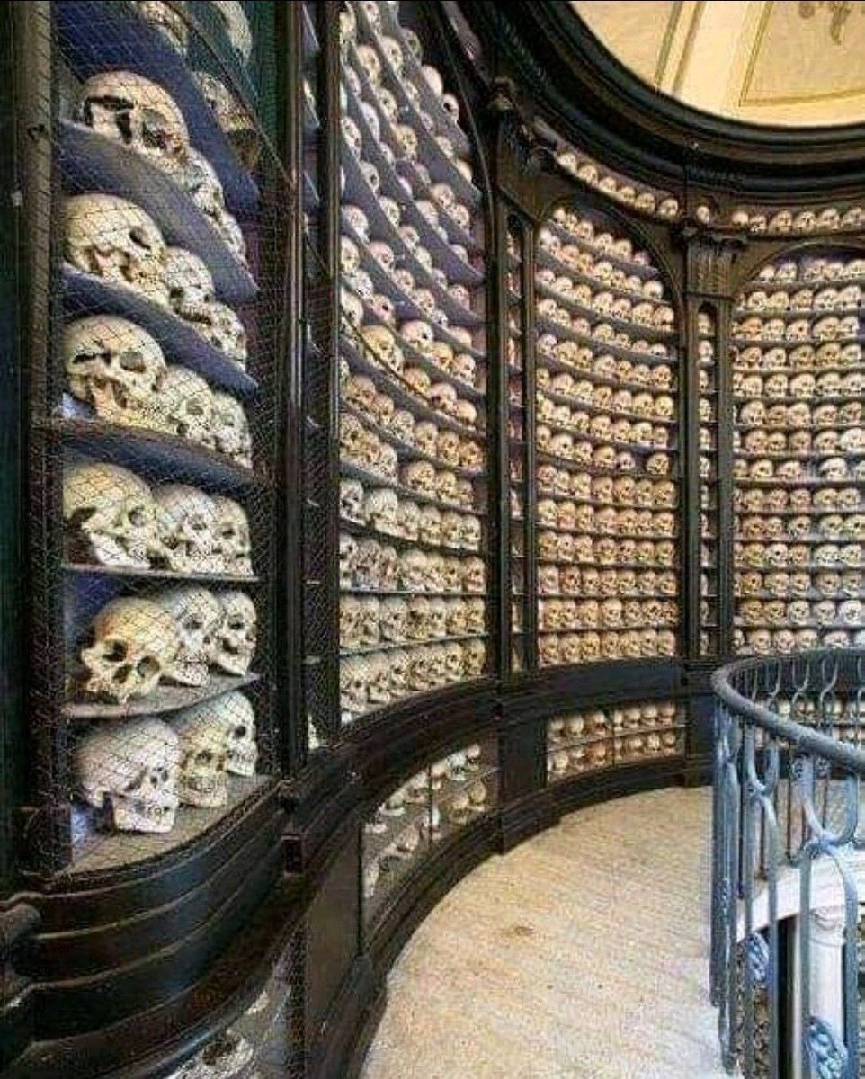 tariqtramboo's tweet photo. #France gathered 400 Muslim scholars, and cut their heads off with machetes;  During its occupation of Chad in 1917 AD. 

When France entered the Algeria  in 1852 A.D., it exterminated two thirds of its population... 

Finally, they say Islam is a religion of terrorism. https://t.co/PwgLtlvA8w