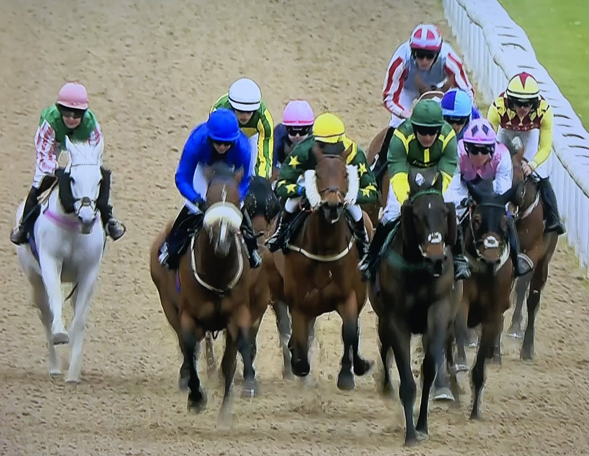 amajox's tweet photo. Congratulations @amajox #OscarPalmer #FirstWinner @WolvesRaces #CarrollGray #FrameRate stormed home #8lengths #10ran #DayToRemember #topjock πππ https://t.co/prs22RcoRA