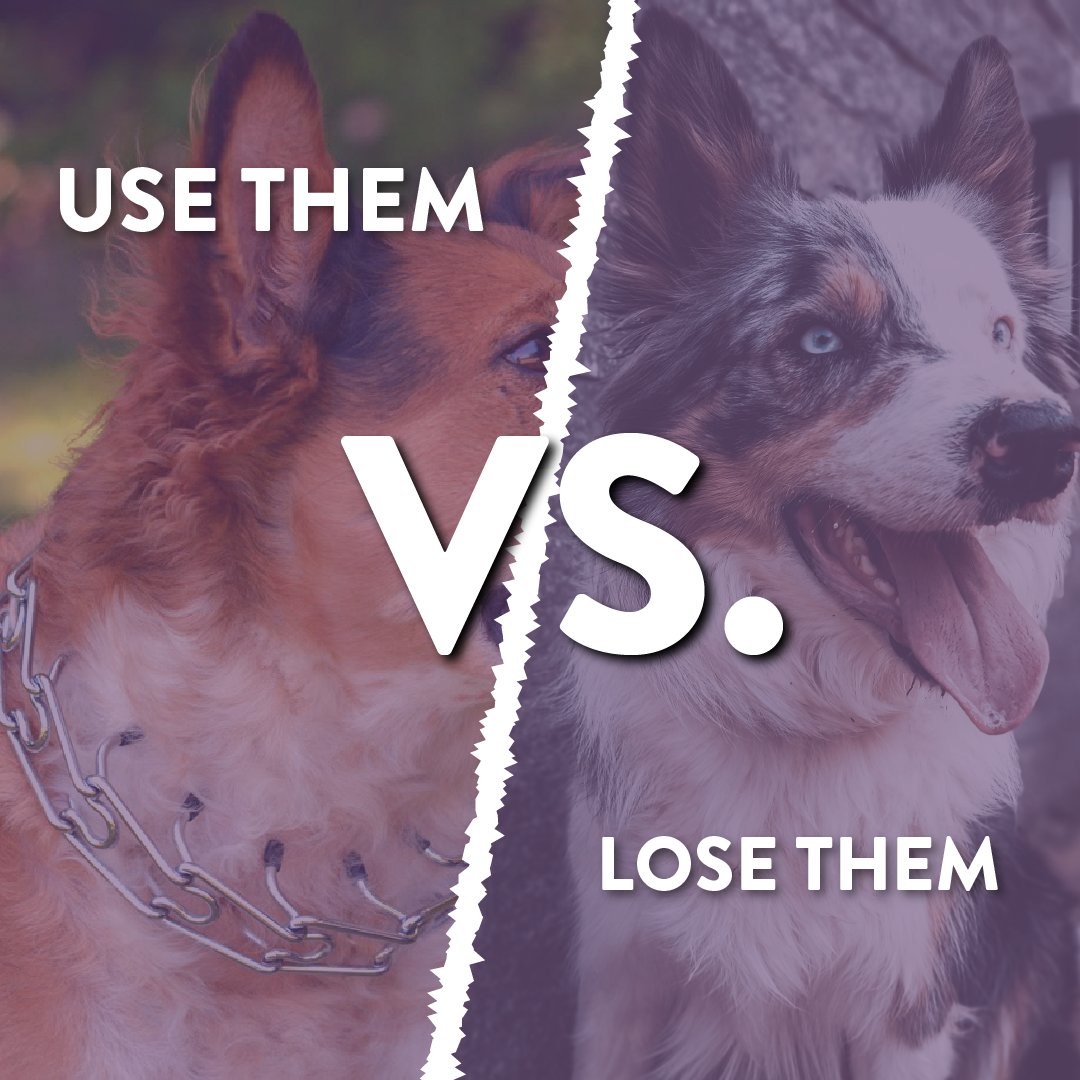 CuddleClones's tweet image. What do we think, #CuddleClones community? Should we be using prong collars for training? 🐕
---
#DogTraining #LeashManners #Dogs