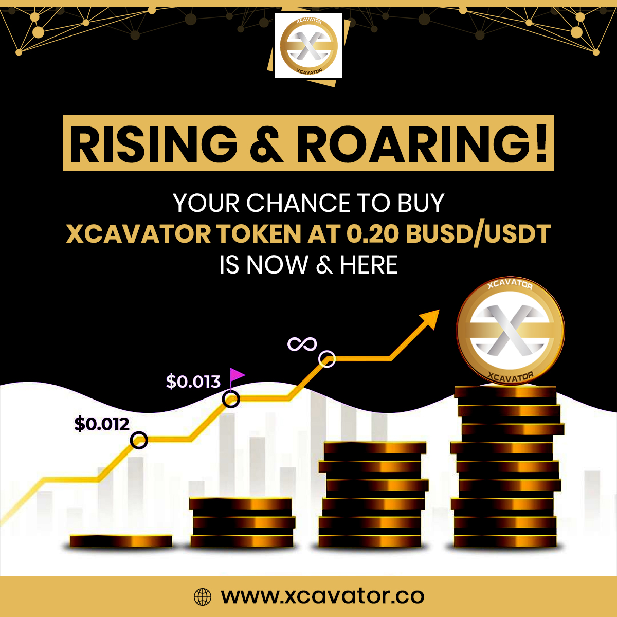 Xcavator International tweet media