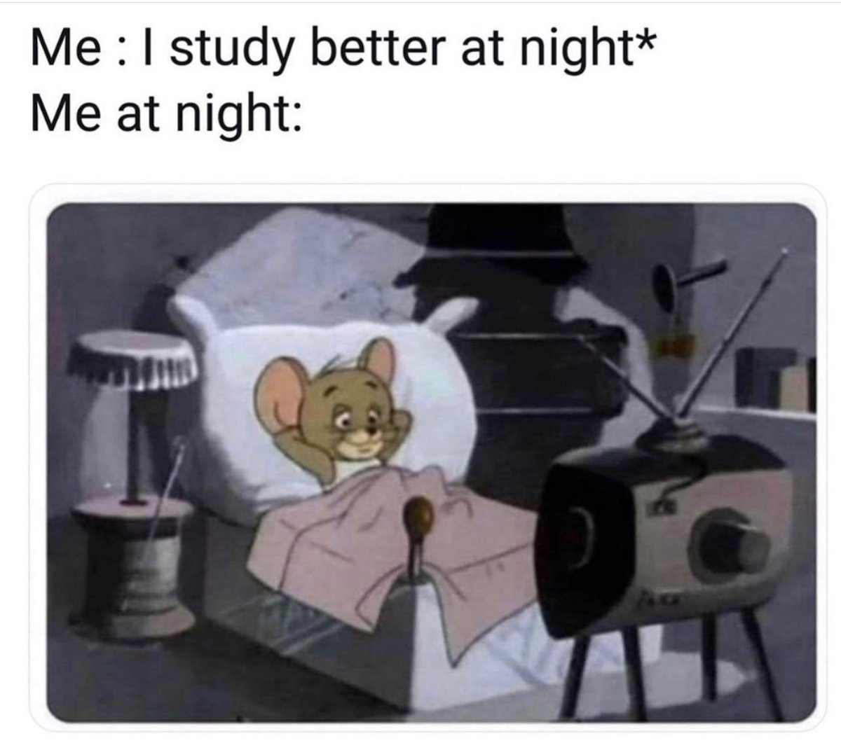 Presbyterian College Academic Success tweet media