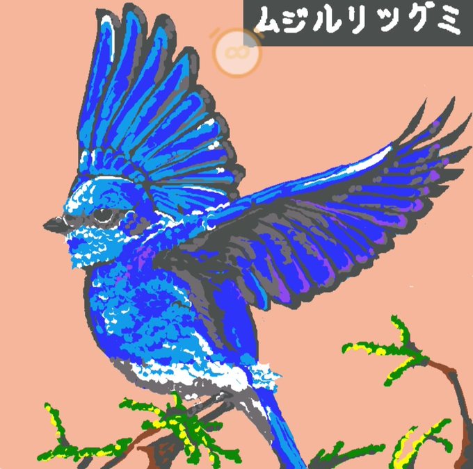 マウンテンブルーバードのtwitterイラスト検索結果