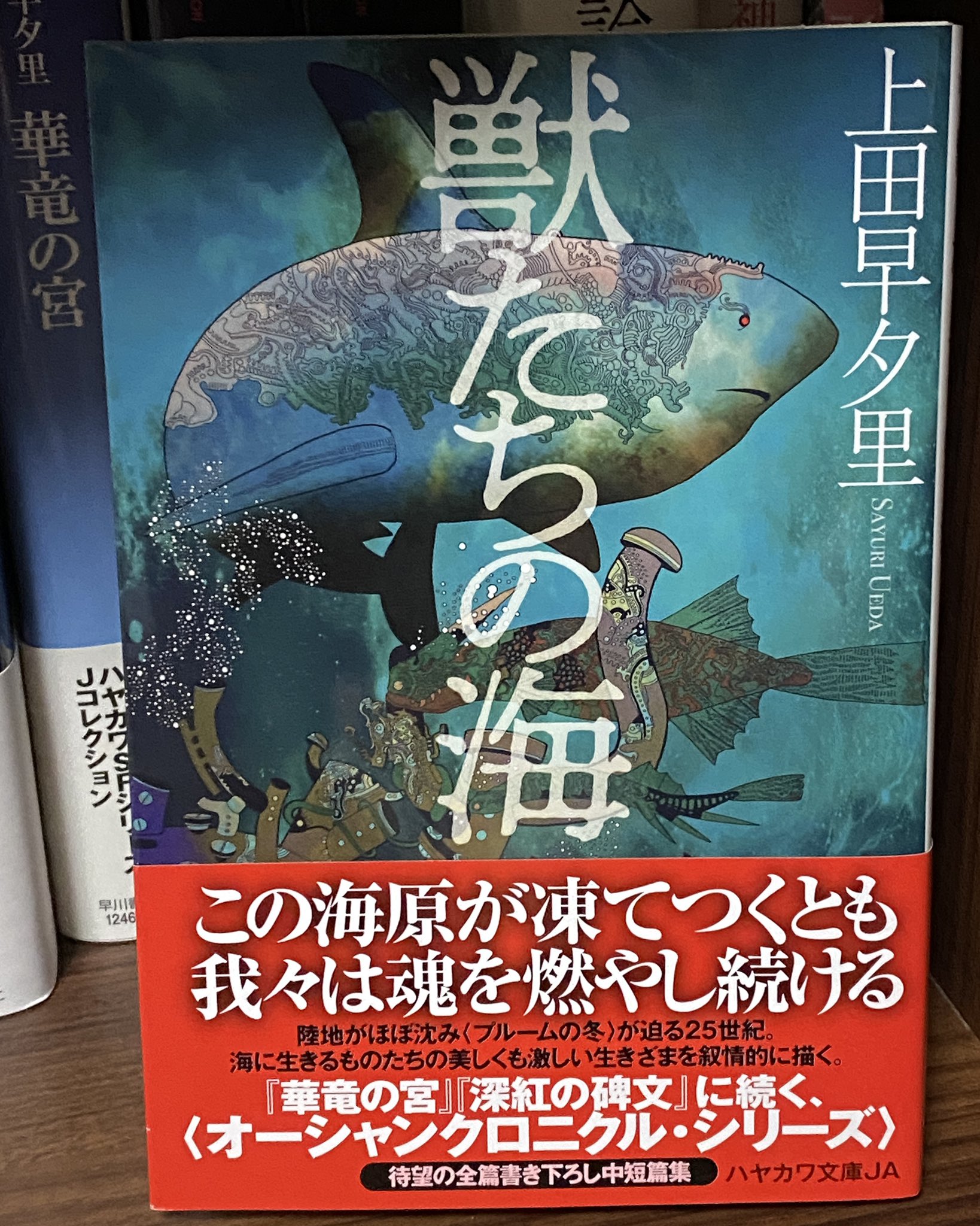 莉玖 華竜の宮 私の大好きなsf小説なんですけれど そのシリーズの続編がいつのまにか出版されていた 比較的頻繁にハヤカワ文庫の棚は眺めているんですけど 全然気づいてなかった ほんと嬉しい タイミングを見計らって読みますね 獣たちの海