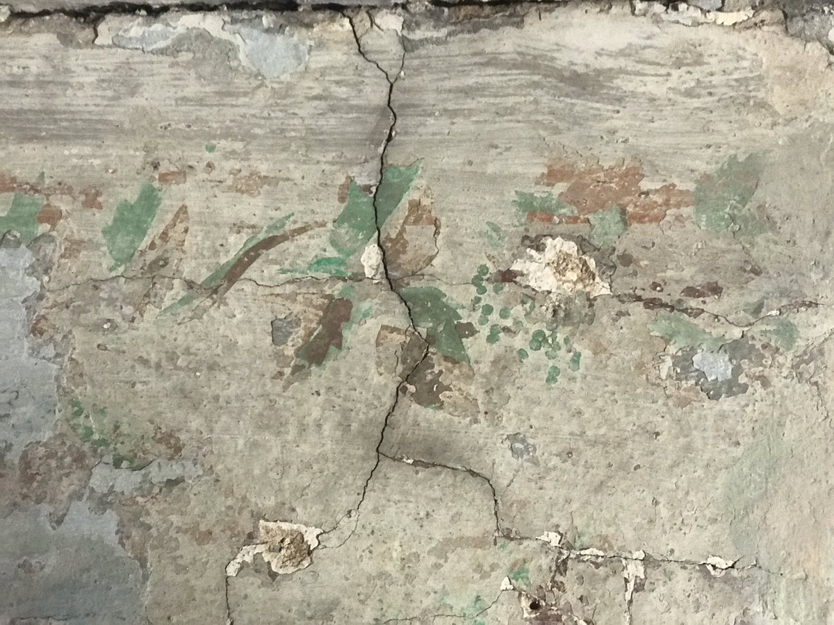 Daniela F Eisenstein tweet media