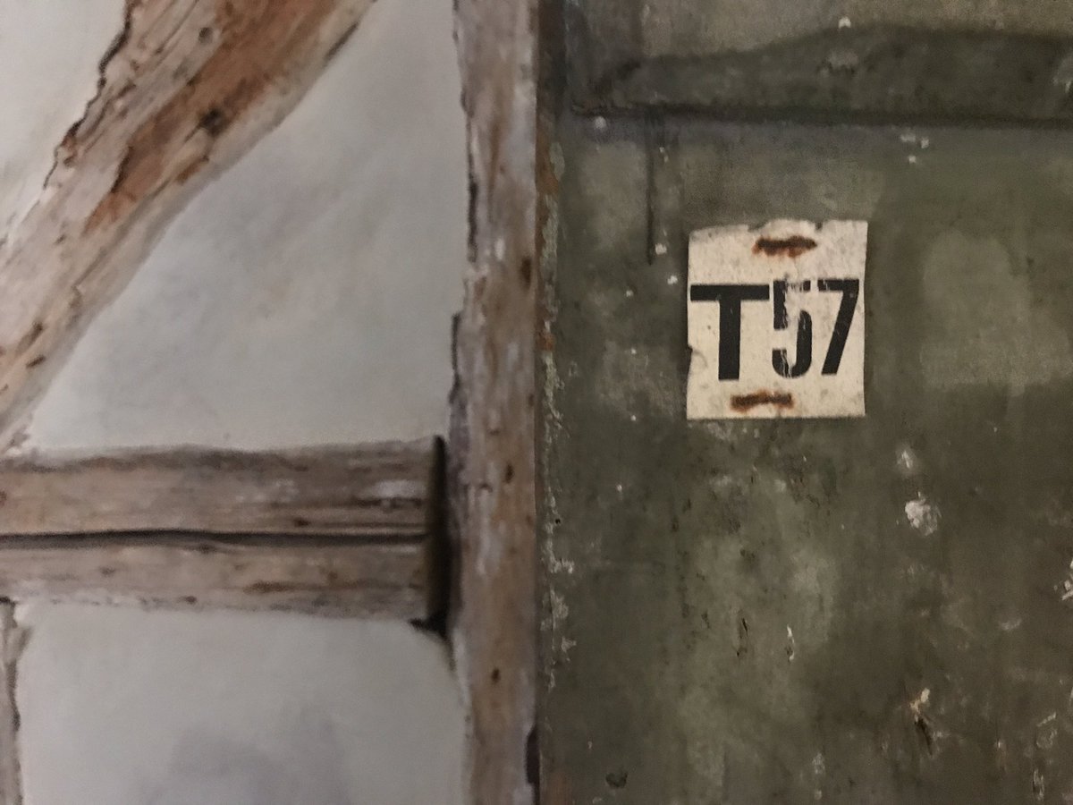 Daniela F Eisenstein tweet media