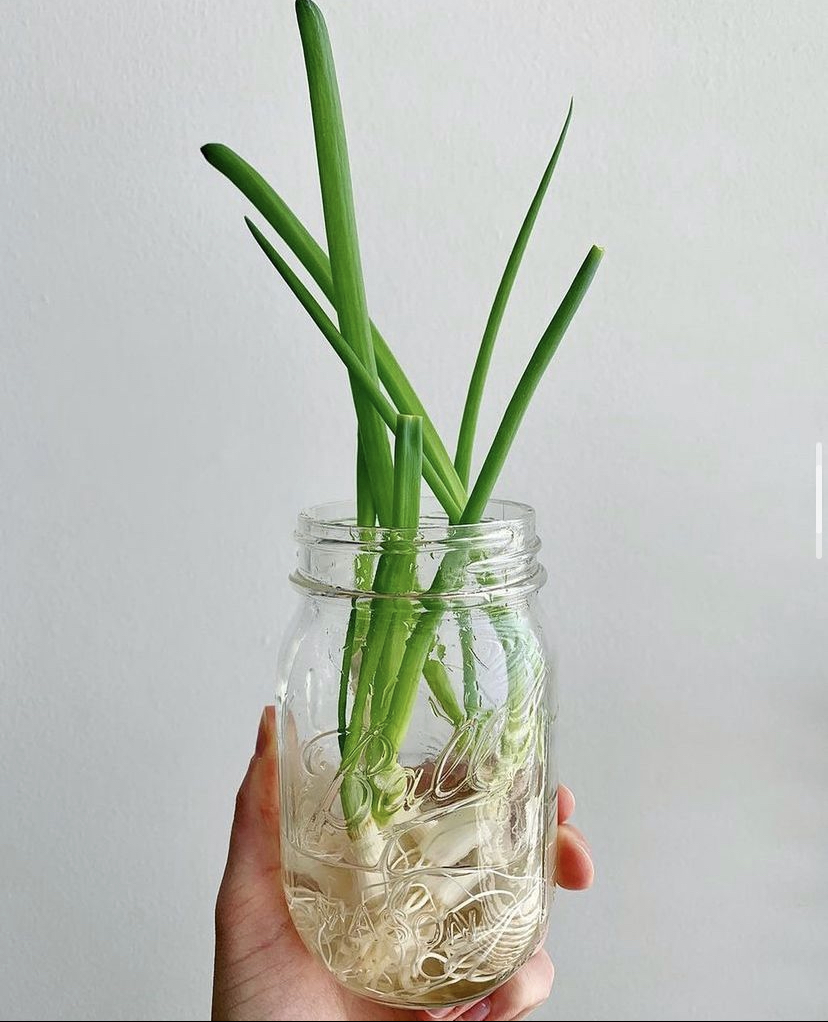 larafield's tweet photo. See what's fresh with FEED's newest newsletter - https://t.co/aDfLa60hv3 https://t.co/YSGaYwaqij