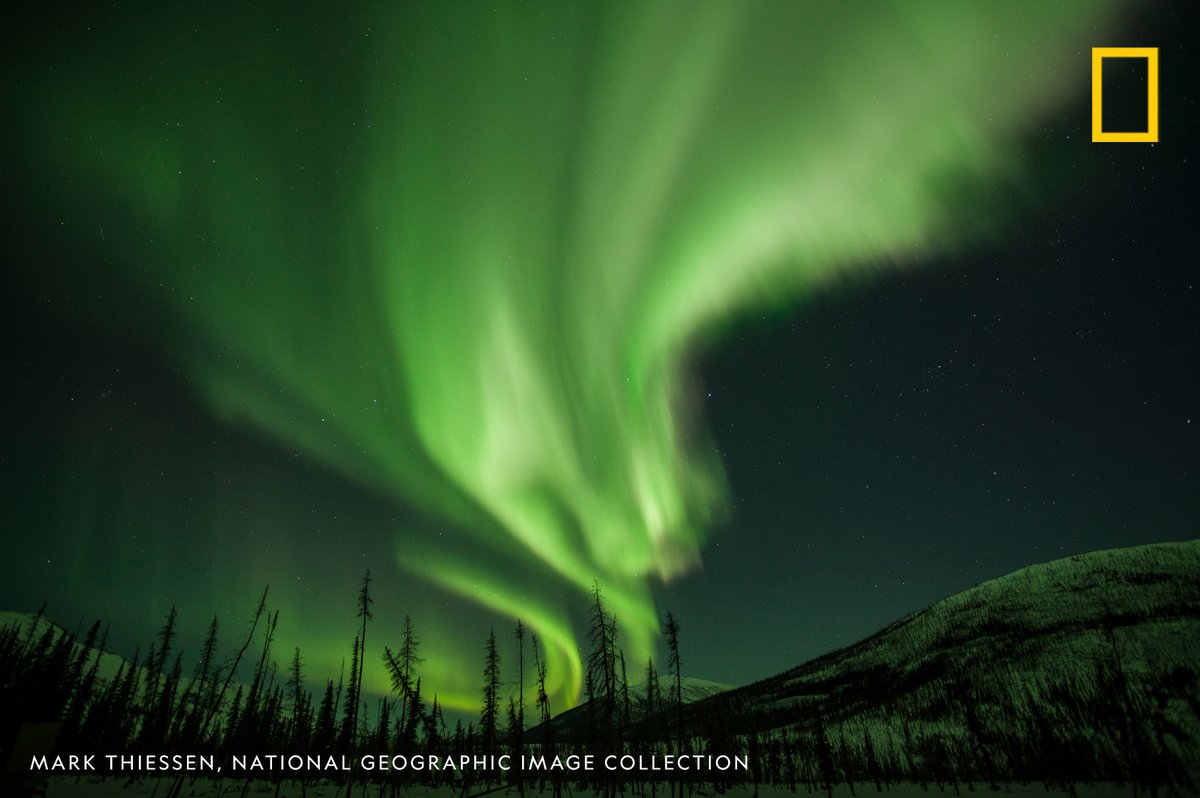 National Geographic History tweet media