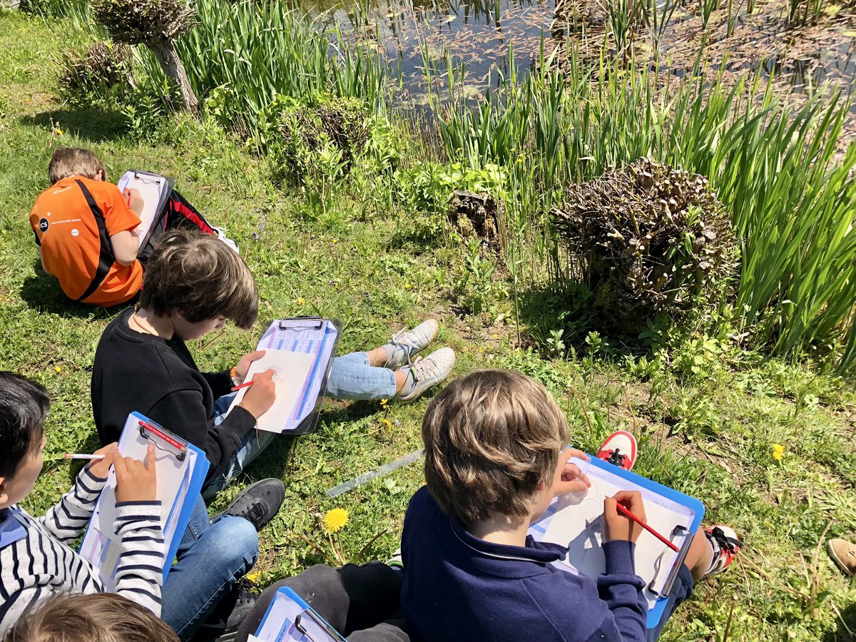 G3 were delighted to see some unexpected visitors at the pond today. The tadpoles have changed into frogs!! #pond #outdoorlearning