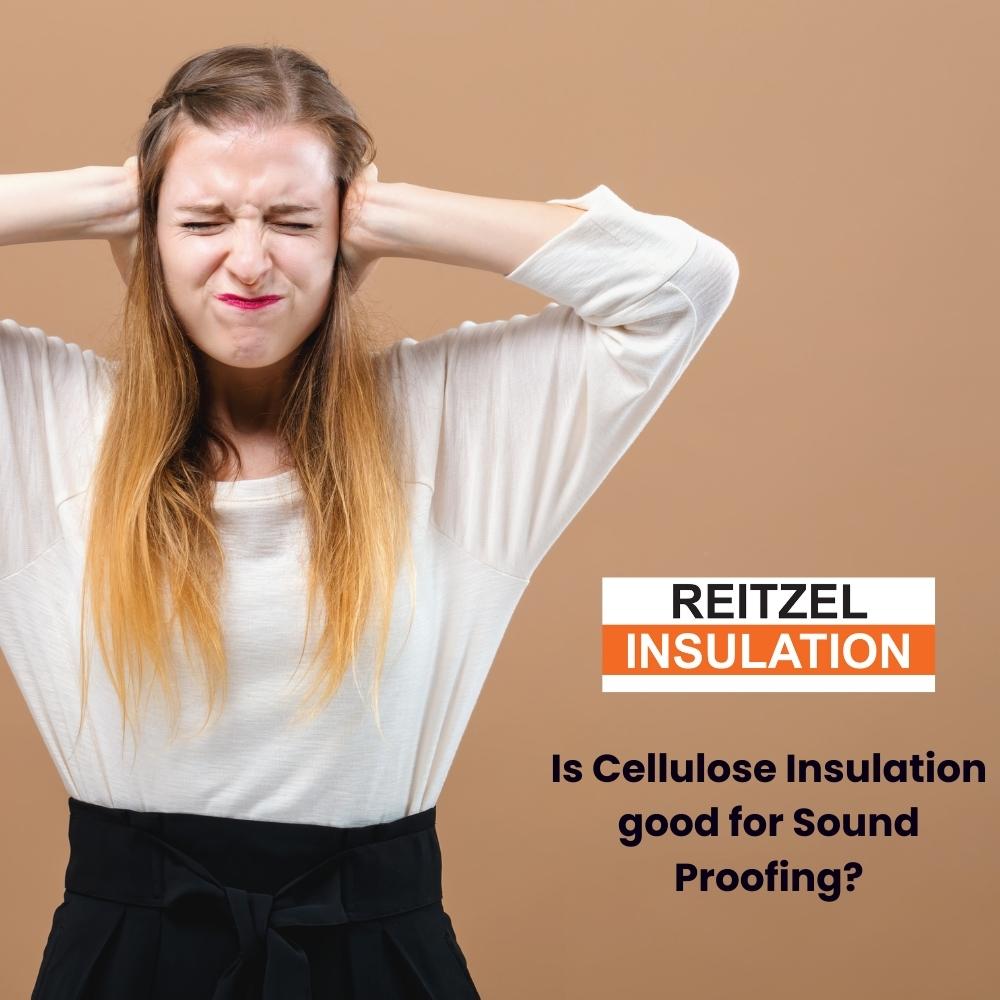For soundproofing, is cellulose insulation good?
Have a look at our blog for the answer.
We give service in GTA, Hamilton, Kitchener-Waterloo and throughout Ontario. 

Contact us at 1-800-265-8869. 
bit.ly/2P9PVUX
#celluloseinsulation #reitzelinsulation
