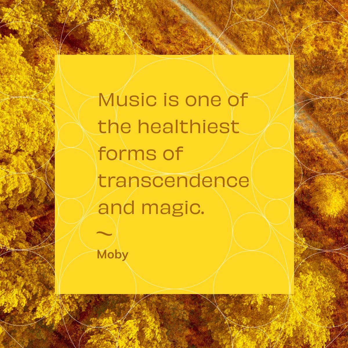 pathdrummer's tweet image. 🎶🎶🎶 Music is Life 🎶🎶🎶