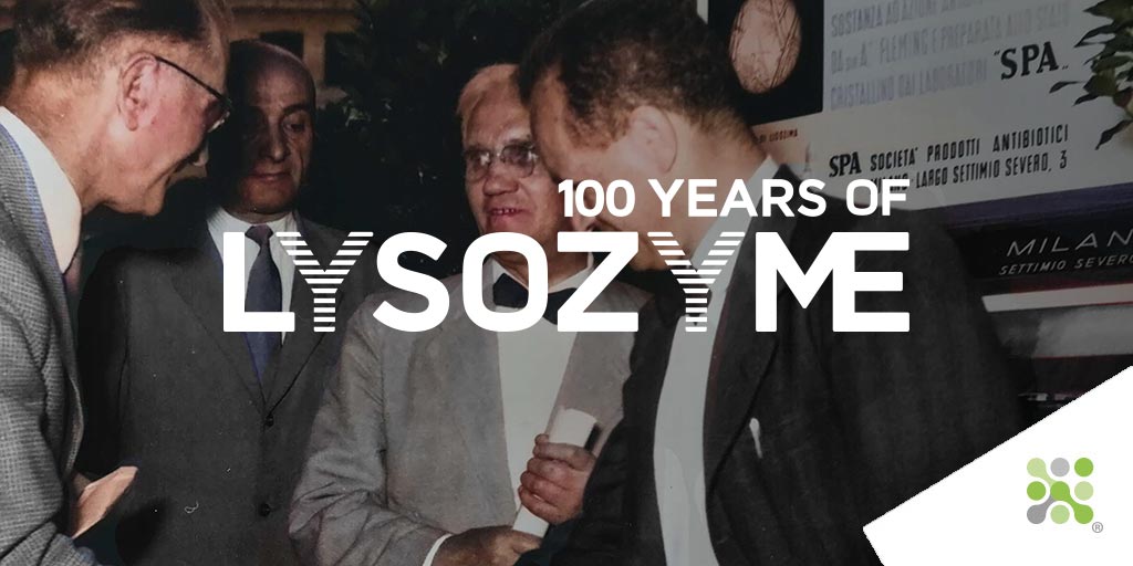 bit.ly/3LlnuLj “We shall hear more about #Lysozyme”, said #AlexanderFleming, and so it will be. In this instalment of our series celebrating #100YearsofLysozyme, we discover how our predecessor first began its #production.