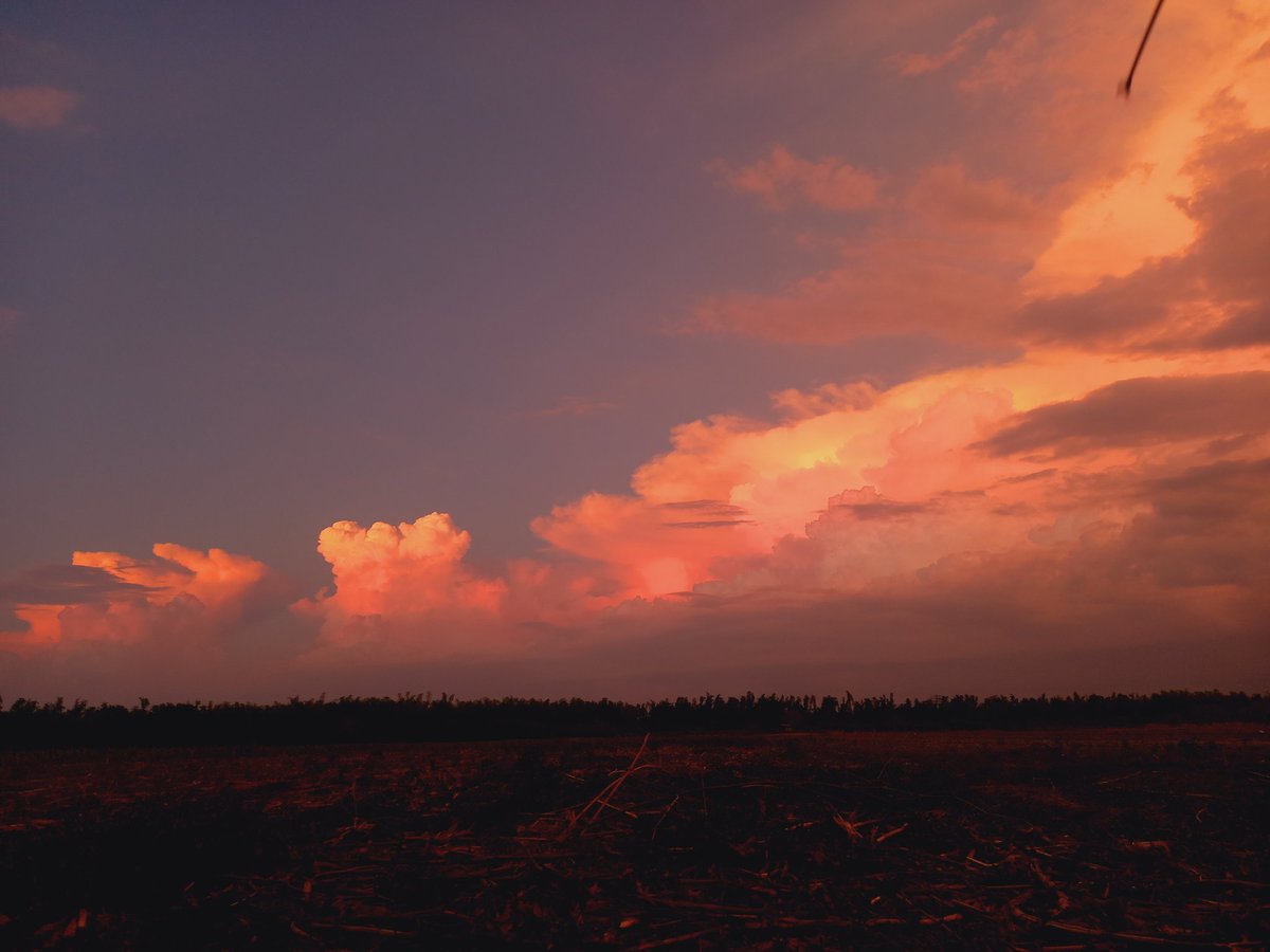 Yncess_roha's tweet photo. I took this photos last 04/21/22 because it reminds me of Moon Bin who loves to capture scenery like this and guess what ? We've got Title Track lyrics by Moon Bin and  JinJin😊

#CandySugarPop is COMING!
 @offclASTRO #ASTRO #아스트로 
#Drive_to_the_Starry_Road https://t.co/uvdM4s0wwb