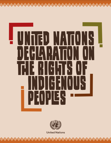 JCoR2030's tweet photo. The Declaration on the Rights of #IndigenousPeoples requires consultation &amp; cooperation with indigenous to obtain free, prior &amp; informed consent. Governments must ensure that decisions &amp; actions do not violate #IndigenousRights. #UNPFII21

https://t.co/1dgLkoQvQ8 https://t.co/DHW9ShkioP