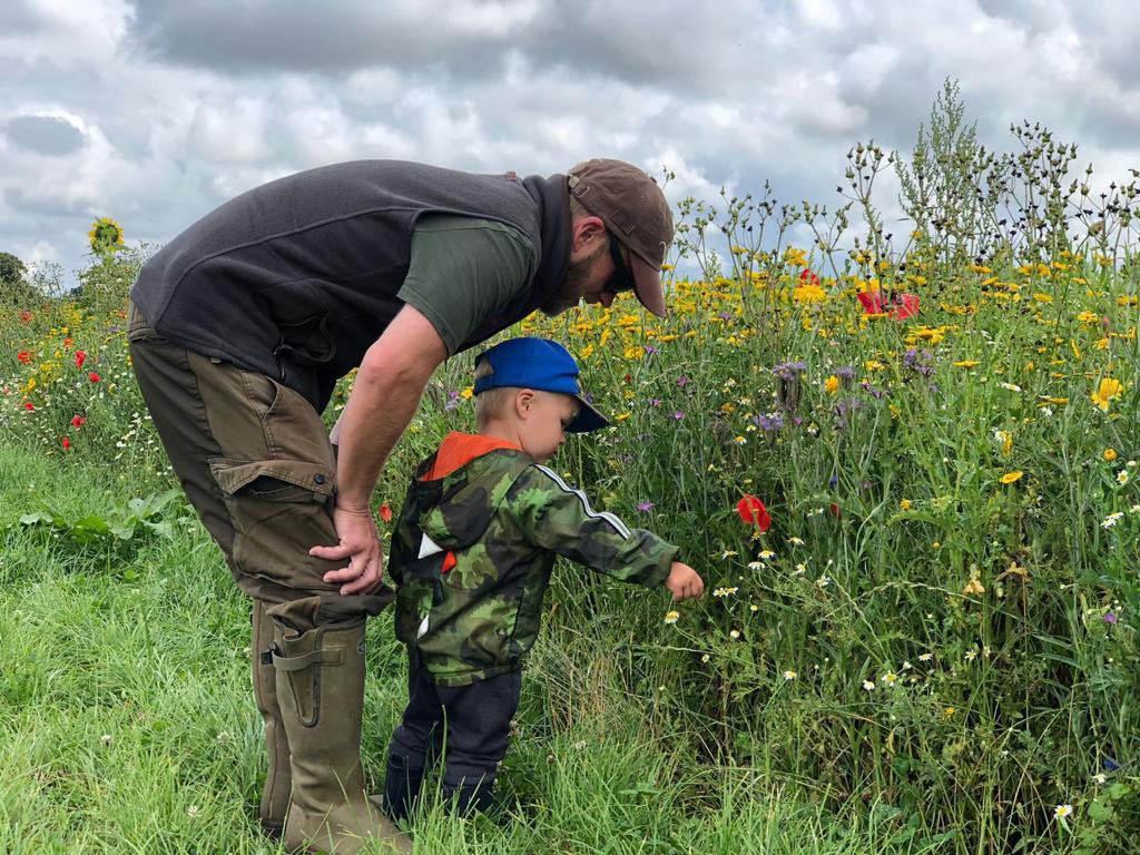Get them learning young! Wildflowers inevitably have an abundance of bees, butterflies and other wildlife in them. 🐝🦋🐝🦋🐝

So get your seeds bought and in the ground. ⬇️⬇️

brightseeds.co.uk/wildflowers/c94

#wildflowerwednesday #wildflowers