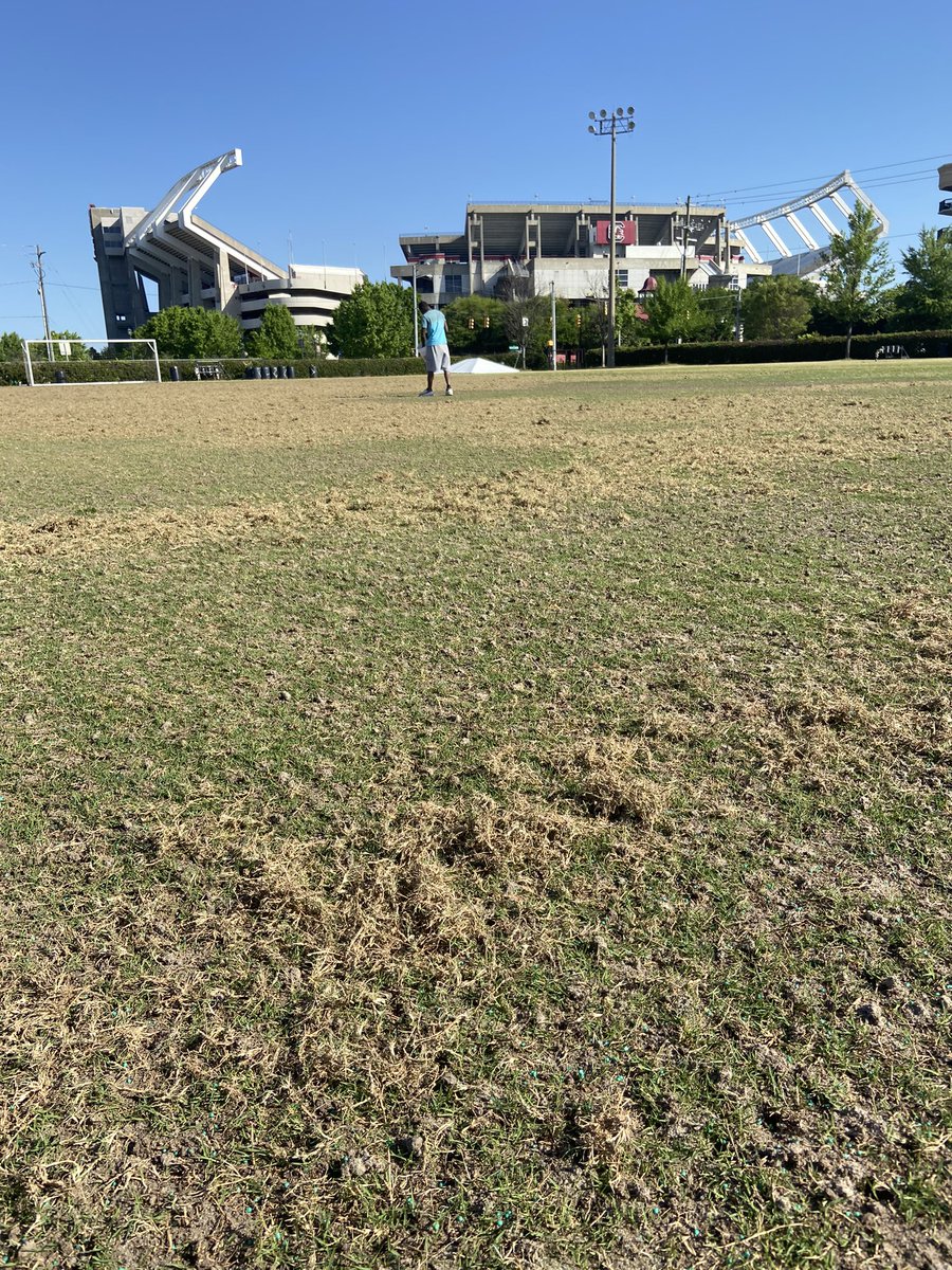 NewLife Turf tweet media