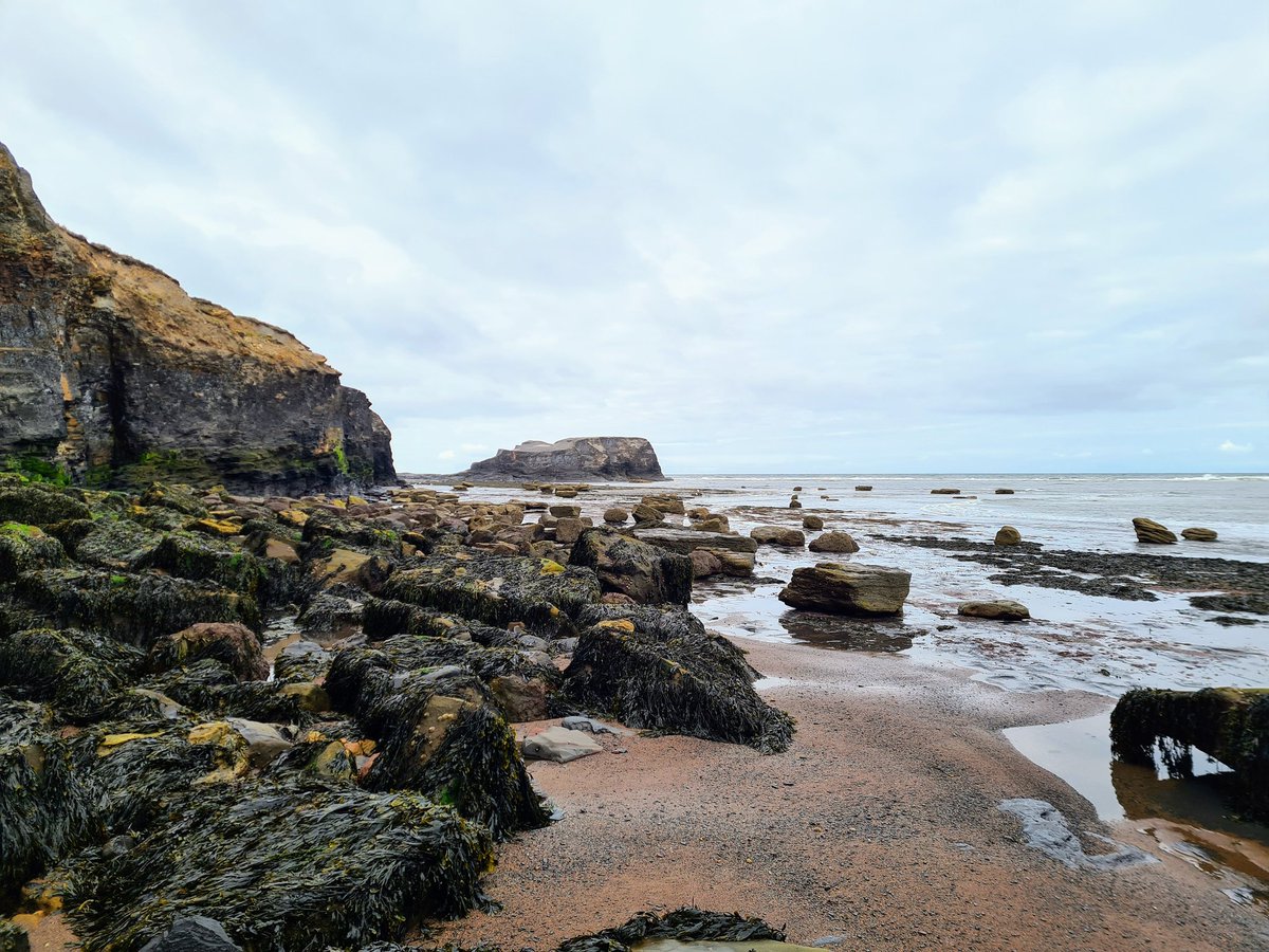 EmilyG155's tweet image. Had great fun yesterday filming bits for #progpal22 virtual field trip with @Palaeo_Meghan @PalaeotWheat @ProgPal2022 Thankfully the rain held off and we&apos;ve got lots of footage of rocks, sand, and sea to share! 🪨🏝🌊🌦