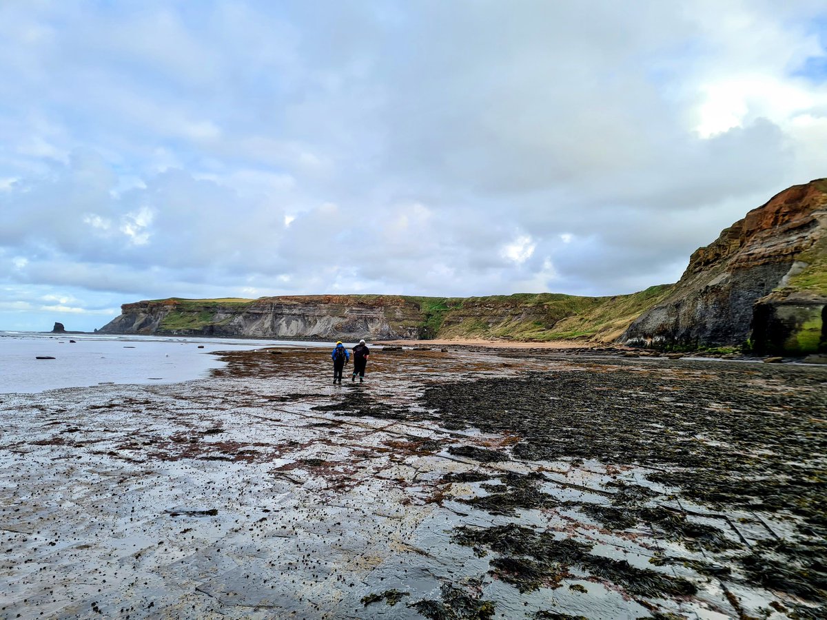 EmilyG155's tweet image. Had great fun yesterday filming bits for #progpal22 virtual field trip with @Palaeo_Meghan @PalaeotWheat @ProgPal2022 Thankfully the rain held off and we&apos;ve got lots of footage of rocks, sand, and sea to share! 🪨🏝🌊🌦