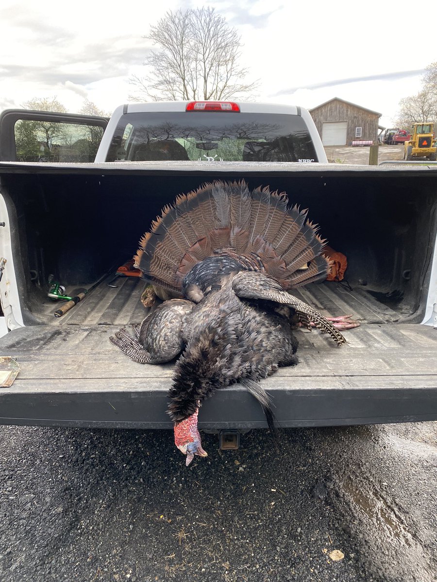All tagged out in Mass with this nice Tom. On to trout fishing.