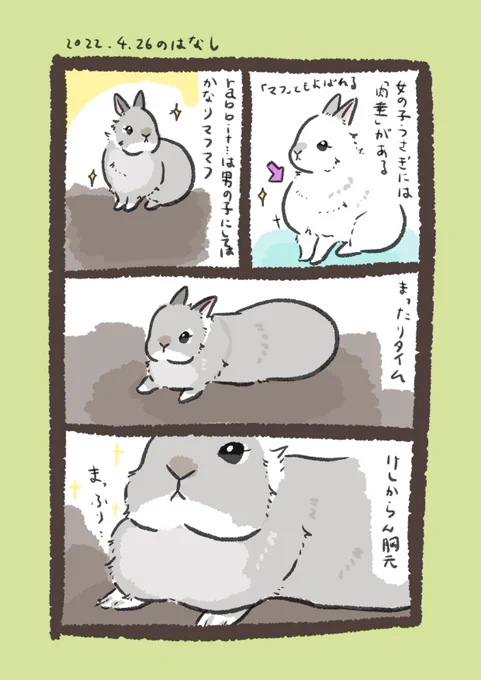 これは昨日のrabbit…
#うさぎのいる生活 