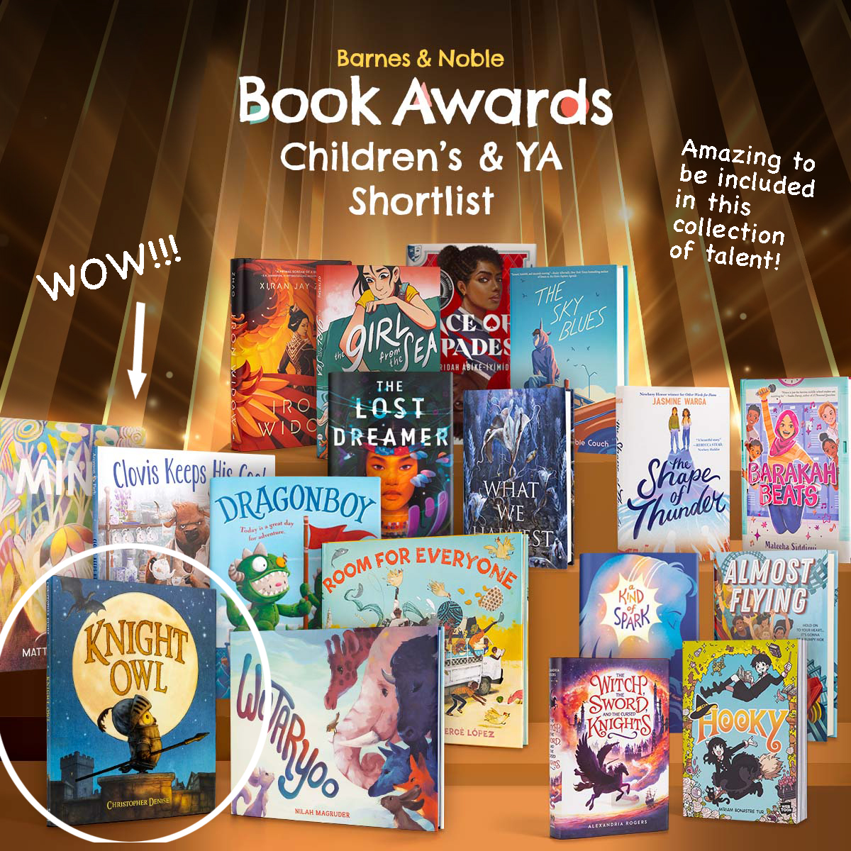 Thank you to all of the Barnes and Noble Booksellers for including “Knight Owl” on The 2022 Barnes & Noble  Children’s & YA Short List!
Link in bio for B&N
#knightowlbook #barnesandnoble #christyottavianobooks #newchildrensbook #christopherdenise #bookseller #bookawards