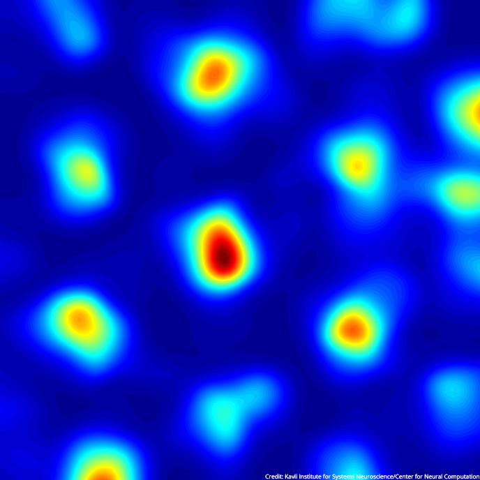 NobelPrize's tweet photo. Edvard Moser was awarded the #NobelPrize in Physiology or Medicine in 2014 for discovering a type of nerve cell that helps us determine our position in space - the 'GPS' of our brain.

Wishing a happy birthday to Moser today! https://t.co/8csvsBILsN