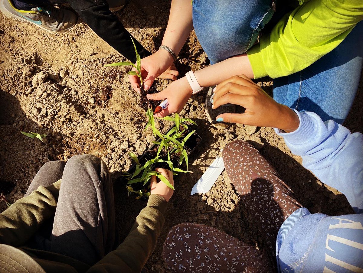 aishakrist's tweet photo. G3 camp has had such a wonderful connection to the UoI - Sustainable Cities. The Ss have been planting, cooking, hiking and learning about our environmental footprint @tokende @sowingliteracy @rlwj11 @TheAndyNic @hyde_l @butcher74 #SDGs #sustainability #EarthDay2022 #zerowaste https://t.co/d0LBCXrQDh