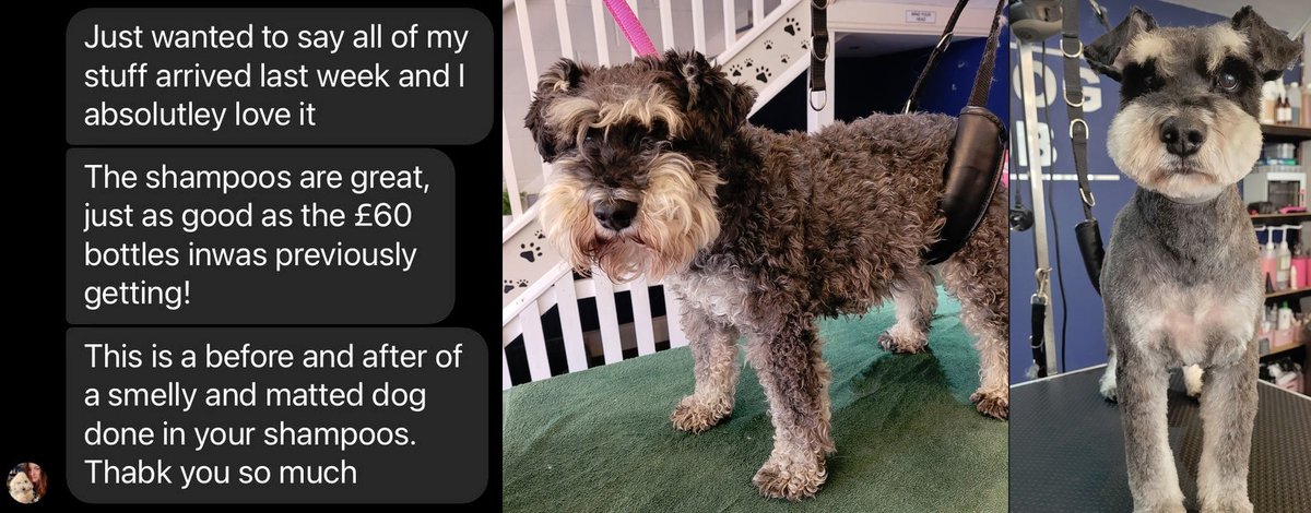 GHSdirect's tweet photo. What a transformation ๐ New Customer bought our #DogShampoos #AnimalShampoo Baby Powder, Cherry, Fresh Burst and Unperfumed for her #Grooming business ... https://t.co/C48csOunk5 https://t.co/VqrEgqOVMn