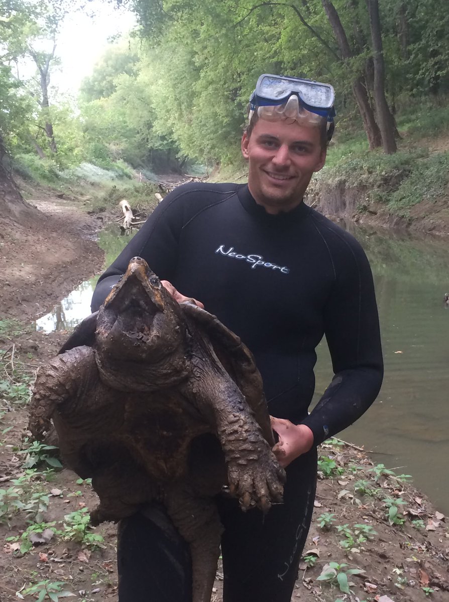 INHSPACELab's tweet photo. Meet Dr. Ethan Kessler, Postdoctoral Research Assistant who manages the Amphibian and Reptile Conservation program within the PaCE Lab. His dissertation focused on reintroduction efforts of the Alligator Snapping Turtle.

#INHSPaCELab #INHS #Conservation

https://t.co/mOCrzVabun https://t.co/m3uENKyLbU
