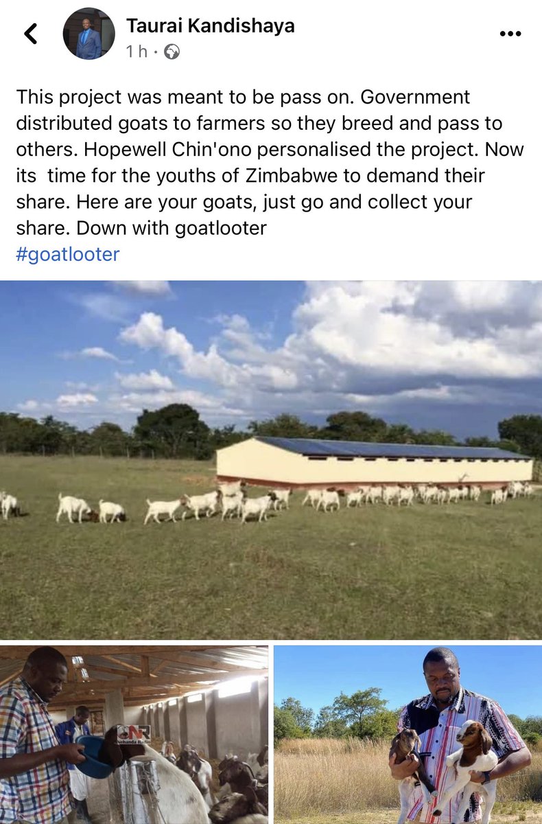 daddyhope's tweet image. There is NO sane international investor who will put their money where a ruling party of that country threatens and plans to take away private property from a citizen!

My workers at the village have been harassed by ZANUPF members, and today they publicly declared an invasion!
