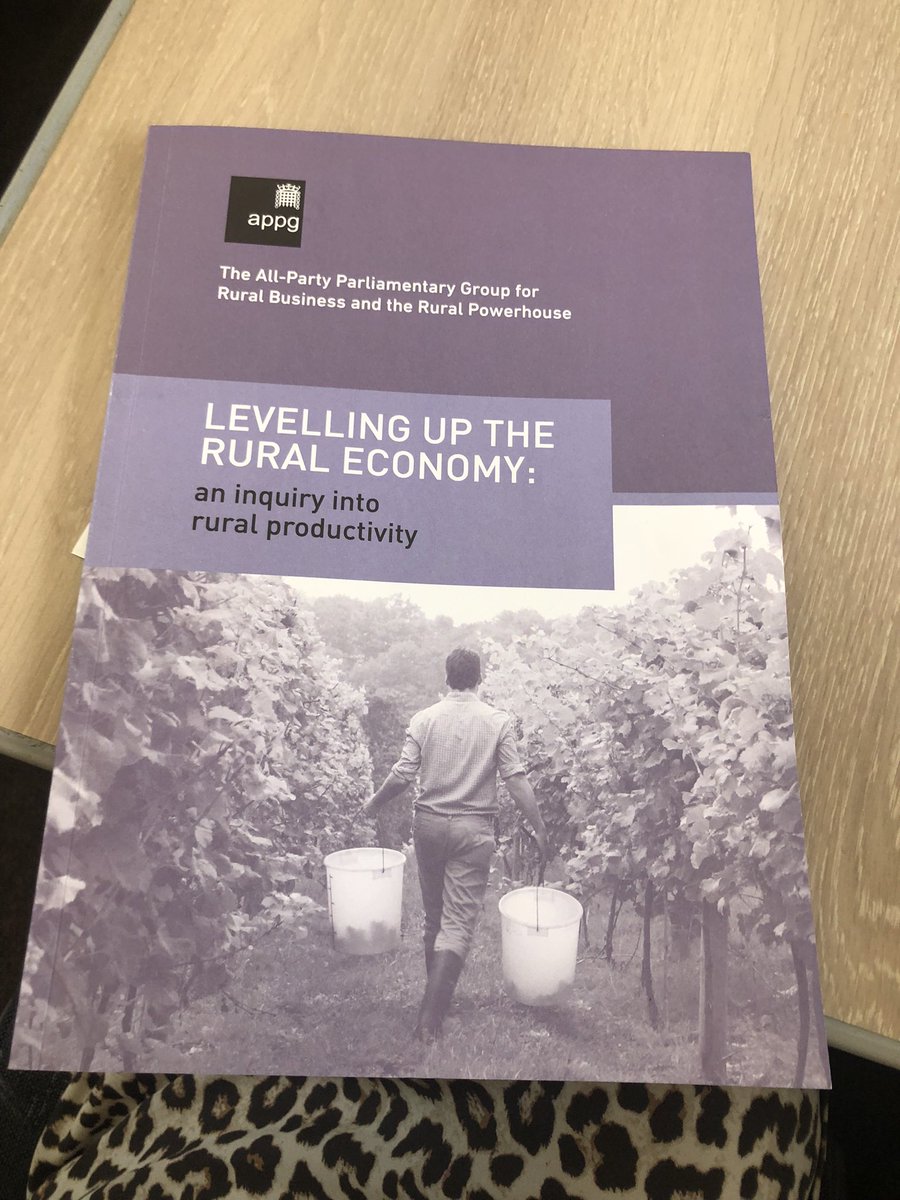 Launched today….. the APPGs report on Levelling up the #rural #economy. Inquiring into rural #Productivity & a plan for #growth. #jobs #homes #infrastructure #tax. Read & share @CLAtweets @ruralpowerhouse