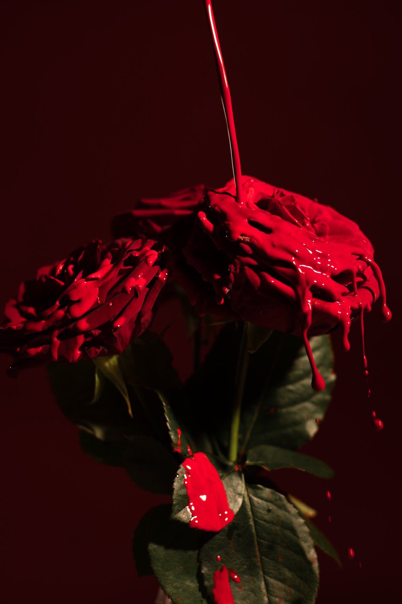 ceciliabilton's tweet photo. Messy flowers 🥀 https://t.co/BJ9tCLpzFU