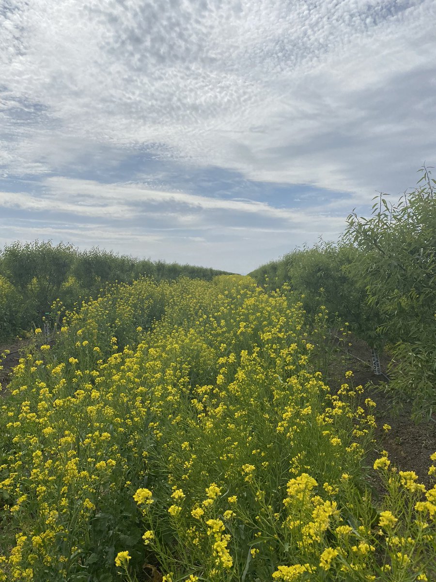 What are your thoughts on Regenerative Ag? #DeepThoughts #FearTheSame